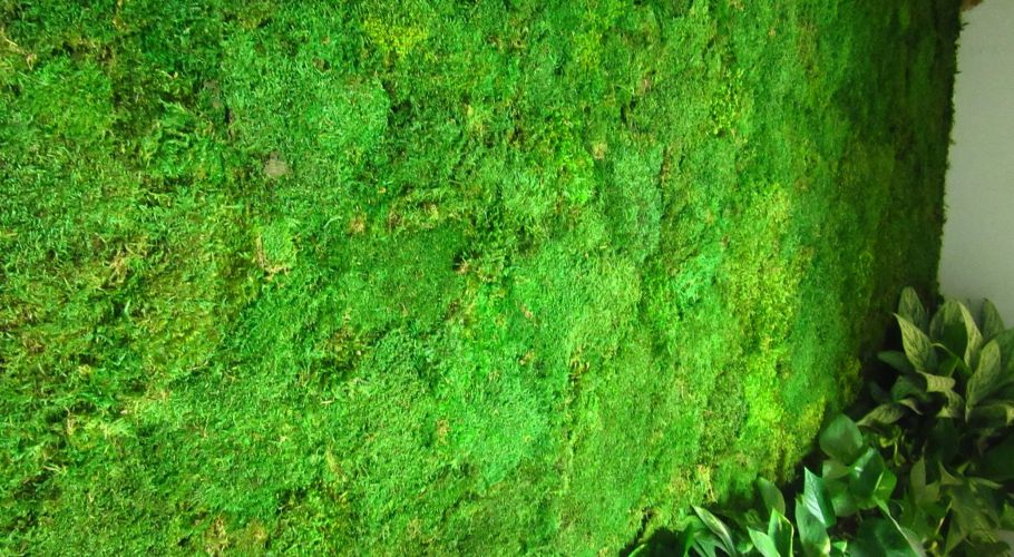 Green Walls @ Forest Retreat & Spa