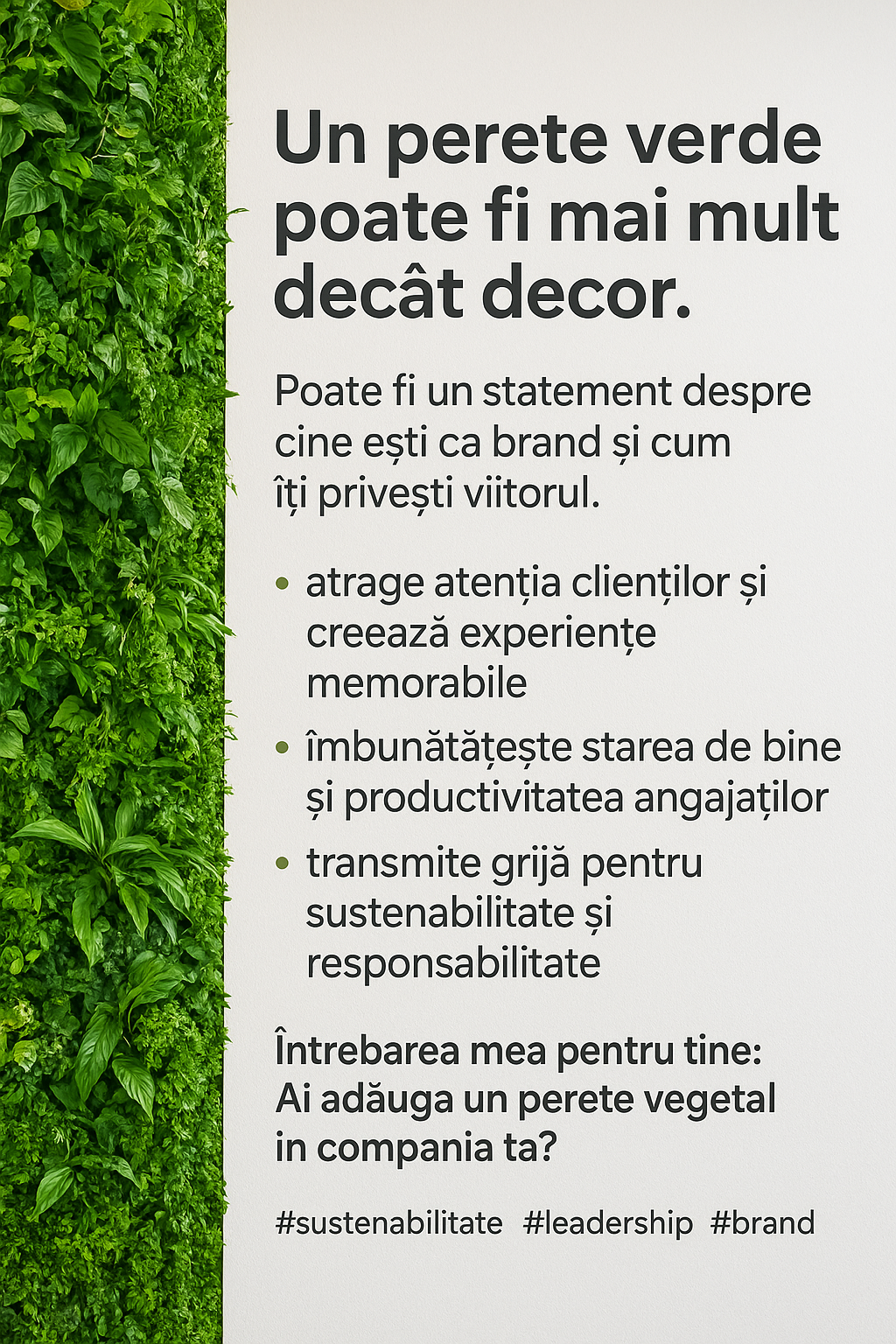 Cum pot pereții vegetali să îți crească afacerea