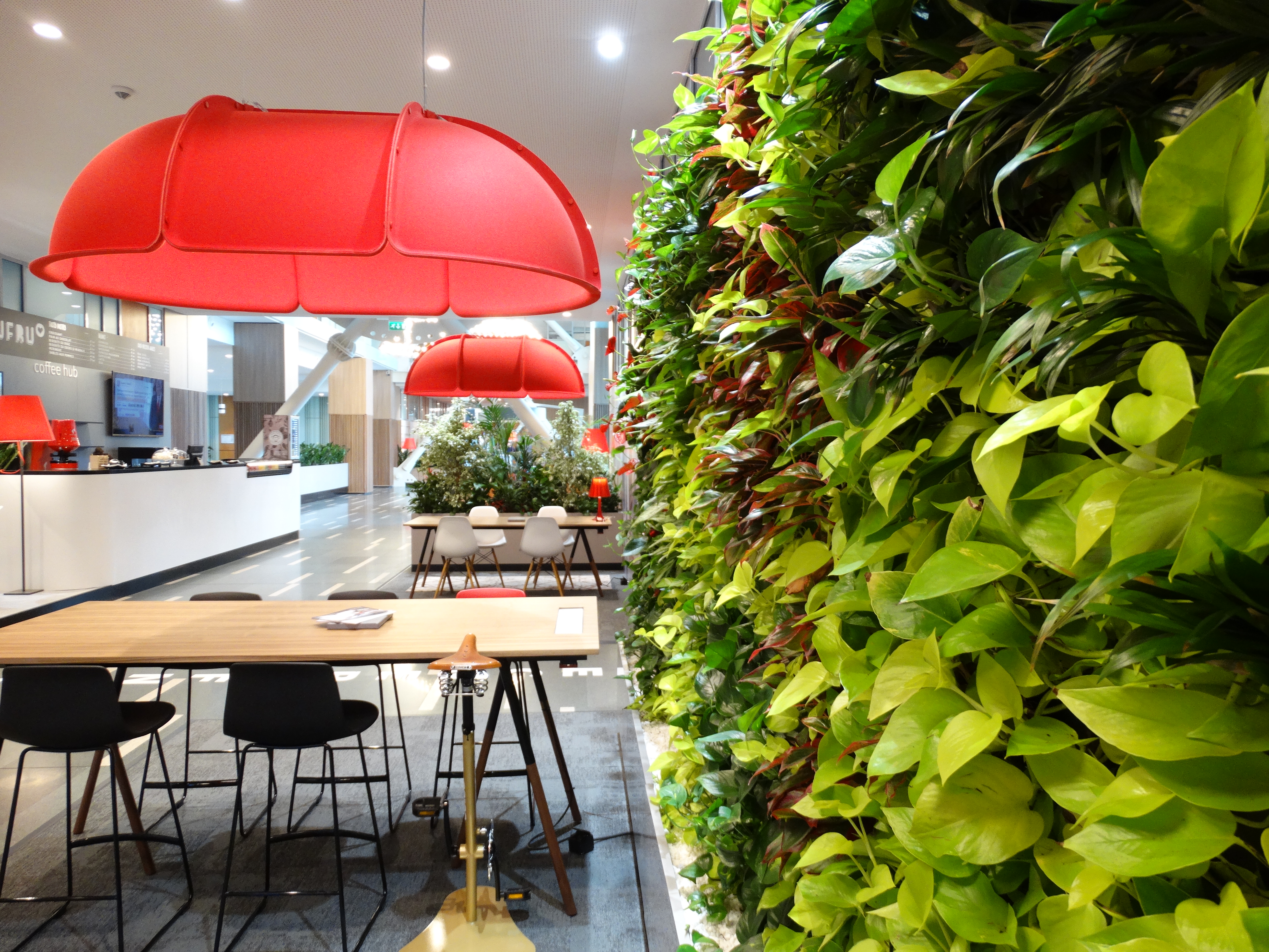 Perete vegetal modern cu plante naturale amenajare birouri - Green Walls România