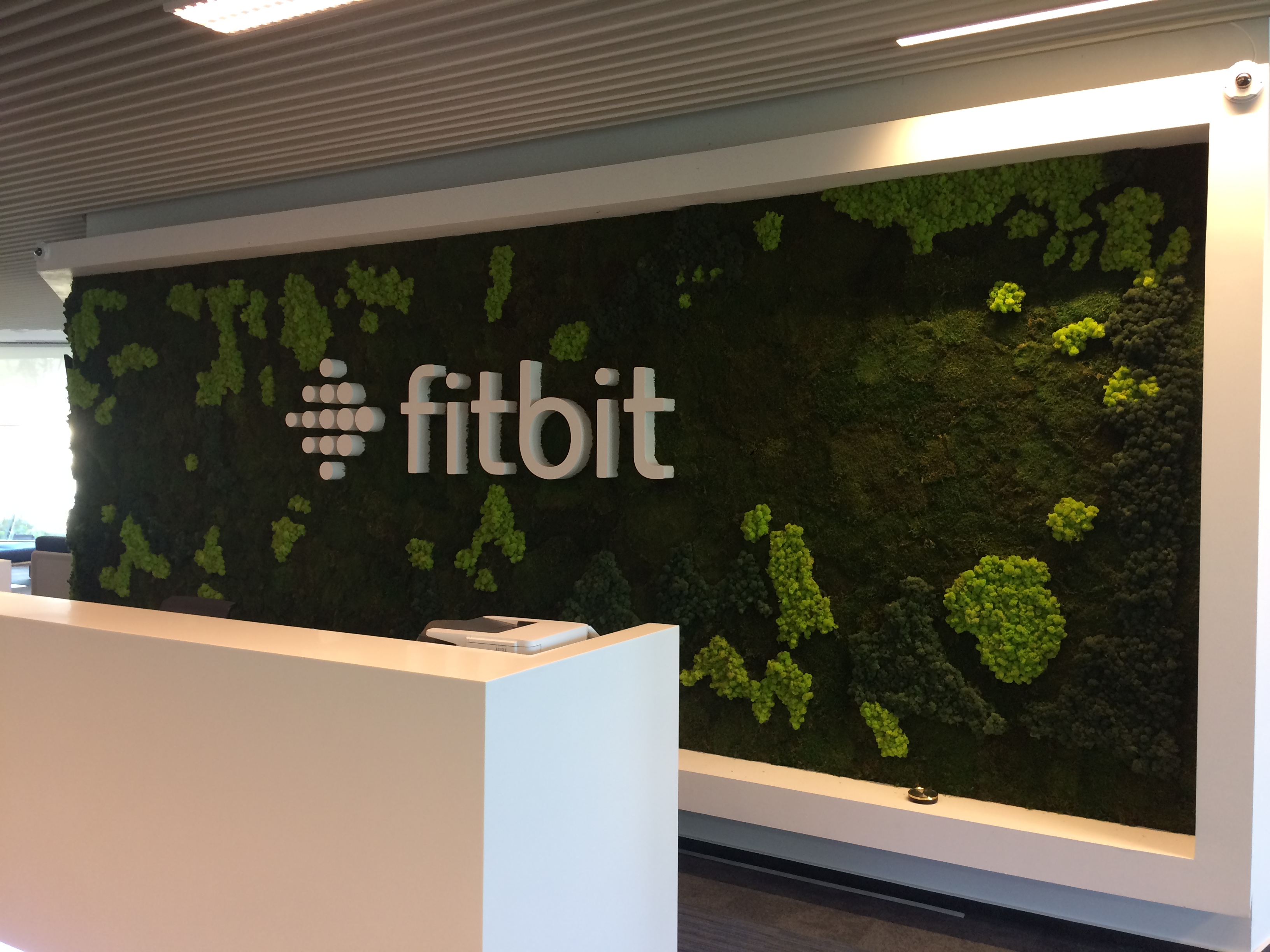 Perete cu mușchi stabilizat Green Walls - panouri verticale verzi