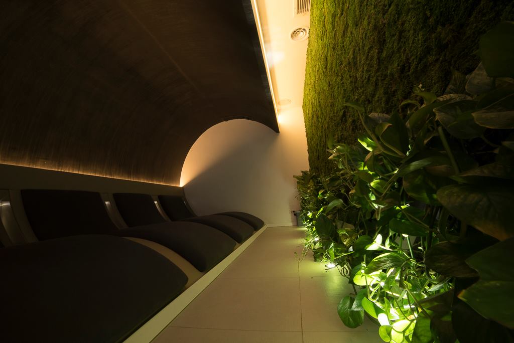 Perete vegetal Green Walls pentru salon SPA