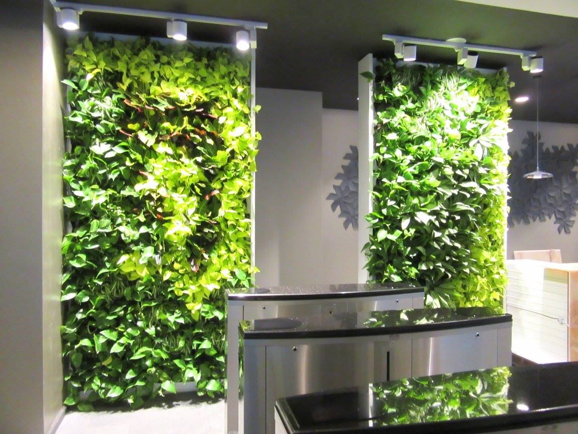 Perete vegetal cu plante naturale în recepția unei clădiri de birouri