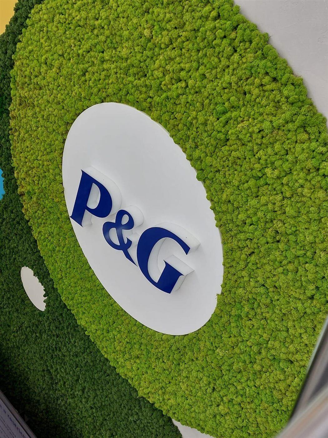 Logo cu litere volumetrice pe disc alb, într-un cerc de licheni stabilizați verde deschis, pe un perete de licheni verde închis