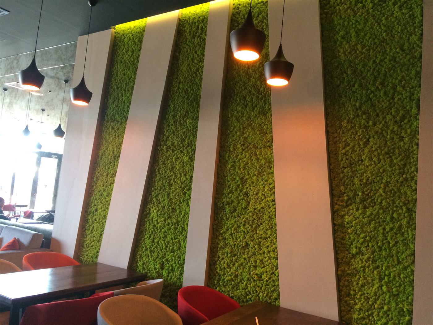 Benzi verticale de licheni verde deschis, alternate cu fâșii de culoare deschisă, pe peretele cafenelei