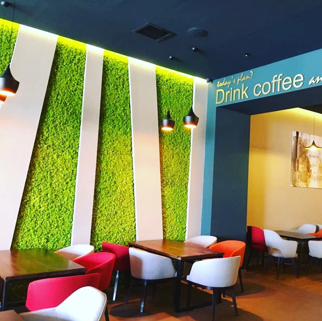 Peretele de licheni verde deschis din cafeneaua Gloria Jean's Coffee, lângă zona de mese