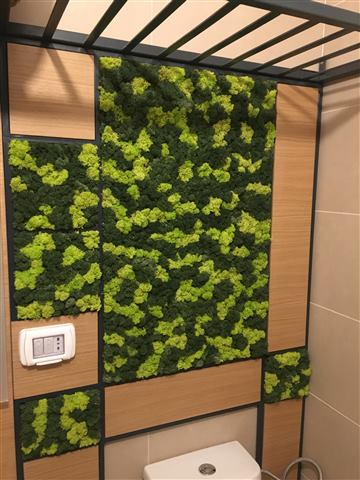 Perete de licheni stabilizați – Apartament rezidențial, foto 1 din 4