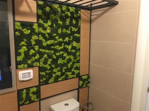 Perete de licheni stabilizați – Apartament rezidențial, foto 2 din 4