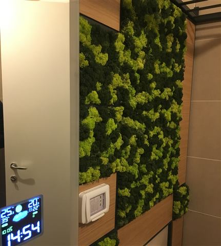 Perete de licheni stabilizați – Apartament rezidențial, foto 3 din 4