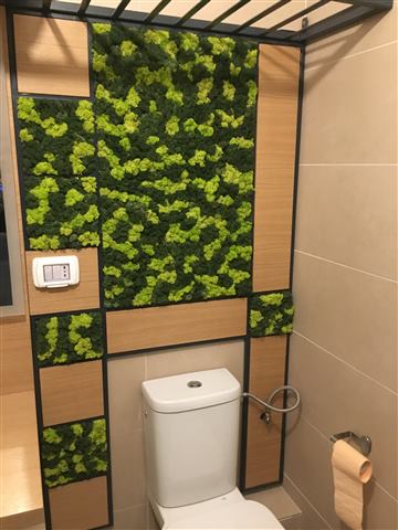 Perete de licheni stabilizați – Apartament rezidențial, foto 4 din 4