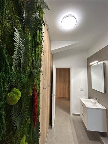 Perete de licheni stabilizați – Locuință rezidențială Brașov, foto 7 din 17