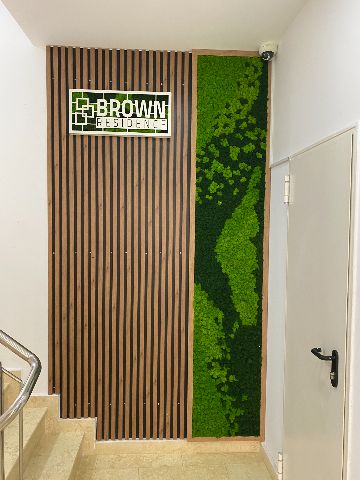 Perete de licheni stabilizați – Brown Residence, foto 1 din 6