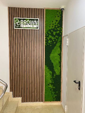 Perete de licheni stabilizați – Brown Residence, foto 3 din 6
