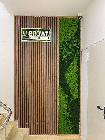 Perete de licheni stabilizați – Brown Residence, foto 4 din 6
