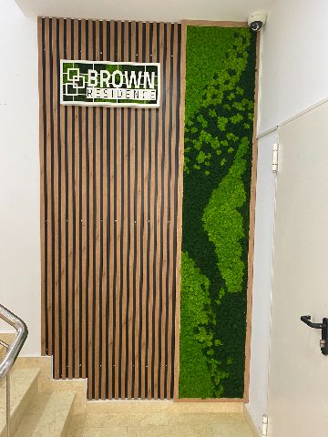 Perete de licheni stabilizați – Brown Residence, foto 5 din 6