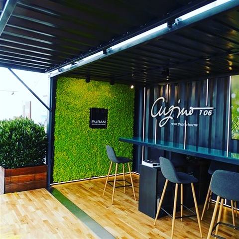 Perete de licheni stabilizați – Imobiliarium, foto 6 din 6