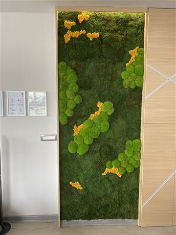 Perete de licheni stabilizați – Alezzi Beach Resort, foto 5 din 7