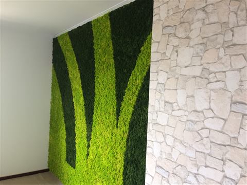 Perete de licheni stabilizați – Moteco, foto 8 din 15