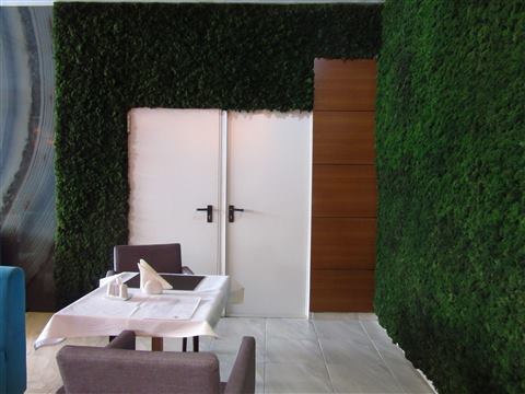 Perete de licheni stabilizați – Premium Wellness Institute, foto 4 din 8