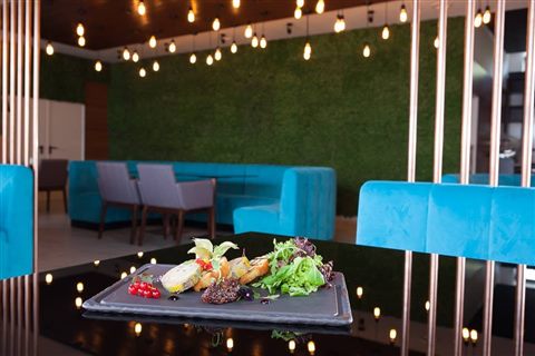 Perete de licheni stabilizați – Premium Wellness Institute, foto 1 din 8