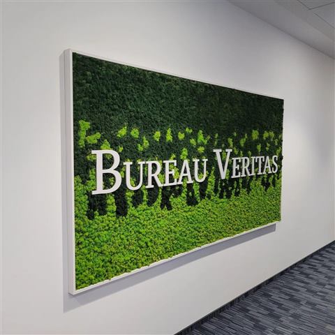 Perete de licheni stabilizați – Bureau Veritas, foto 1 din 1