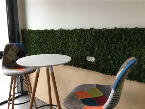 Perete de licheni stabilizați – Hilti, foto 5 din 16