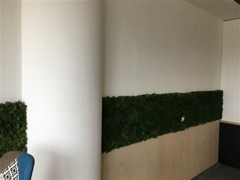 Perete de licheni stabilizați – Hilti, foto 9 din 16