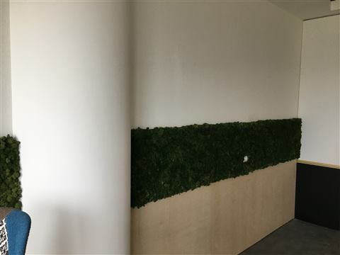 Perete de licheni stabilizați – Hilti, foto 10 din 16