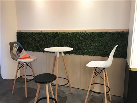 Perete de licheni stabilizați – Hilti, foto 14 din 16