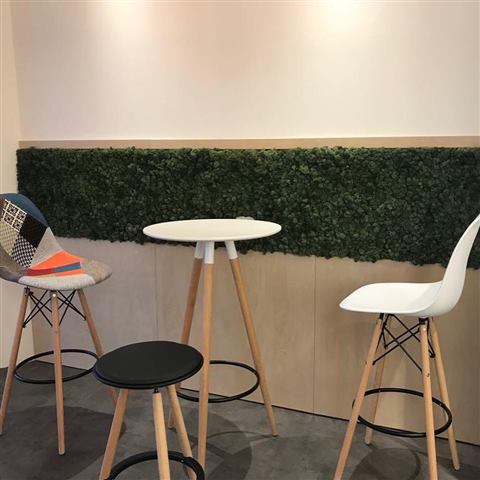 Perete de licheni stabilizați – Hilti, foto 16 din 16