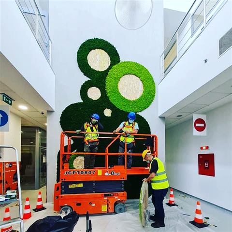 Perete de licheni stabilizați – Sediu multinațională, foto 2 din 30