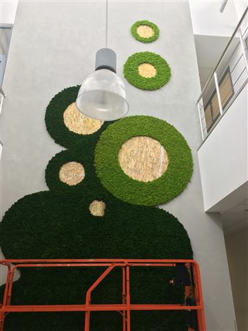 Perete de licheni stabilizați – Sediu multinațională, foto 21 din 30