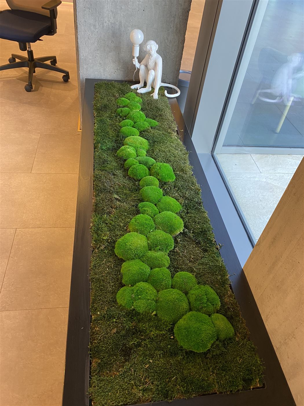 Jardinieră lungă cu mușchi bombat de-a lungul ferestrelor