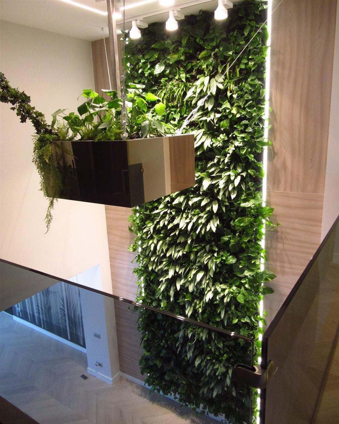 Grădină verticală cu plante naturale pe înălțimea casei scării, cu jardinieră suspendată din tavan