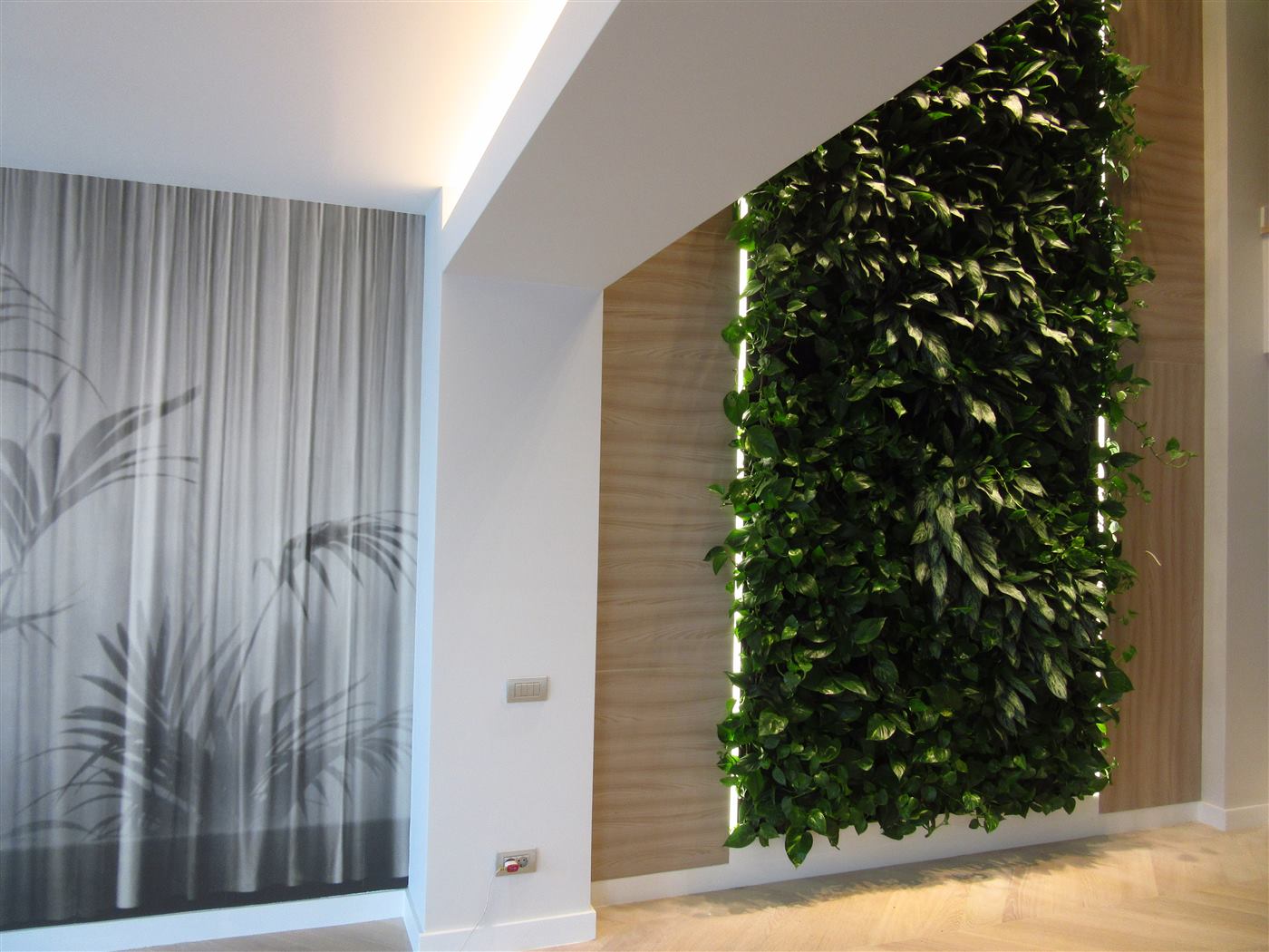 Grădina verticală cu plante naturale văzută din camera alăturată