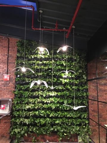 Grădină verticală cu plante naturale – Alka, foto 1 din 5