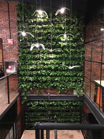 Grădină verticală cu plante naturale – Alka, foto 2 din 5