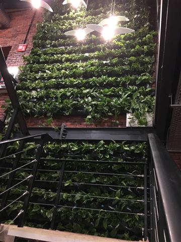 Grădină verticală cu plante naturale – Alka, foto 3 din 5