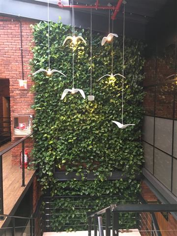 Grădină verticală cu plante naturale – Alka, foto 5 din 5