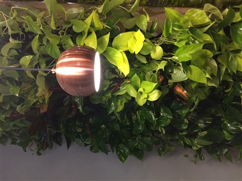 Grădină verticală cu plante naturale – Brow Bar & Mode, foto 2 din 5