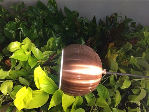 Grădină verticală cu plante naturale – Brow Bar & Mode, foto 5 din 5