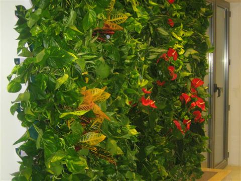 Grădină verticală cu plante naturale – Iași, foto 10 din 31