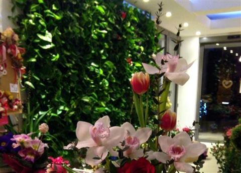 Grădină verticală cu plante naturale – Iași, foto 12 din 31