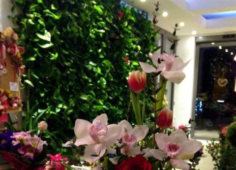 Grădină verticală cu plante naturale – Iași, foto 13 din 31