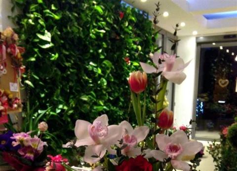 Grădină verticală cu plante naturale – Iași, foto 14 din 31