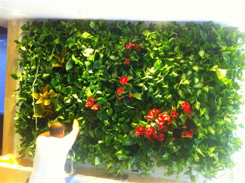 Grădină verticală cu plante naturale – Iași, foto 18 din 31