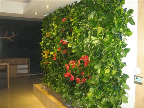 Grădină verticală cu plante naturale – Iași, foto 19 din 31
