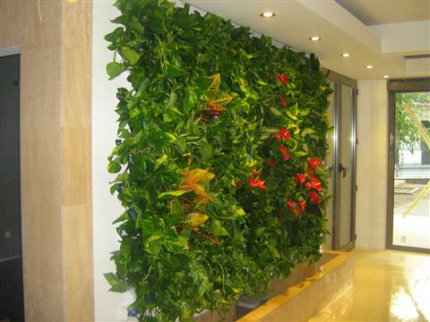 Grădină verticală cu plante naturale – Iași, foto 20 din 31