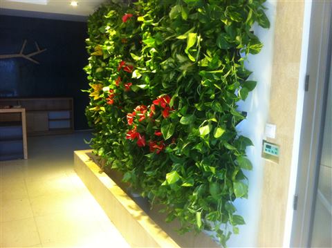 Grădină verticală cu plante naturale – Iași, foto 21 din 31