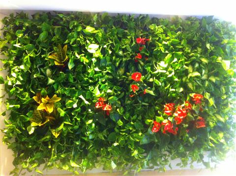 Grădină verticală cu plante naturale – Iași, foto 23 din 31