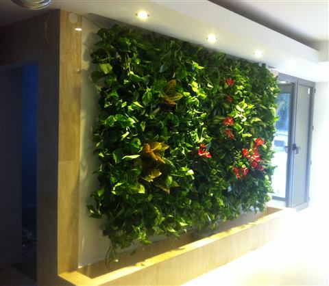 Grădină verticală cu plante naturale – Iași, foto 24 din 31
